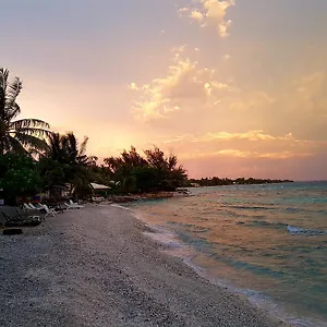 pension-rangiroa-plage.frenchpolynesia-hotels.com/