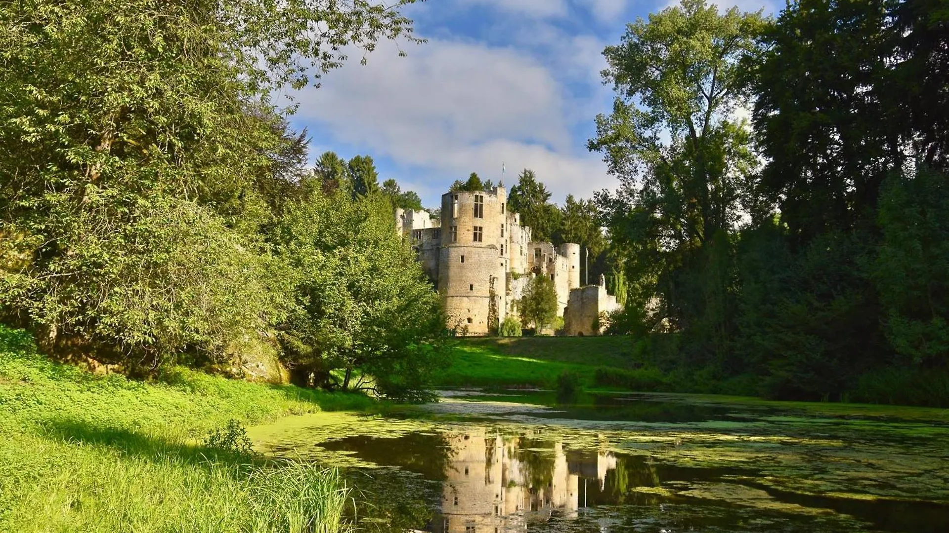 Hotel Auberge Rustique Befort